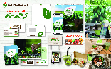 株式会社ベーマガフューチャーファーム 野菜生産企業 ブランディング